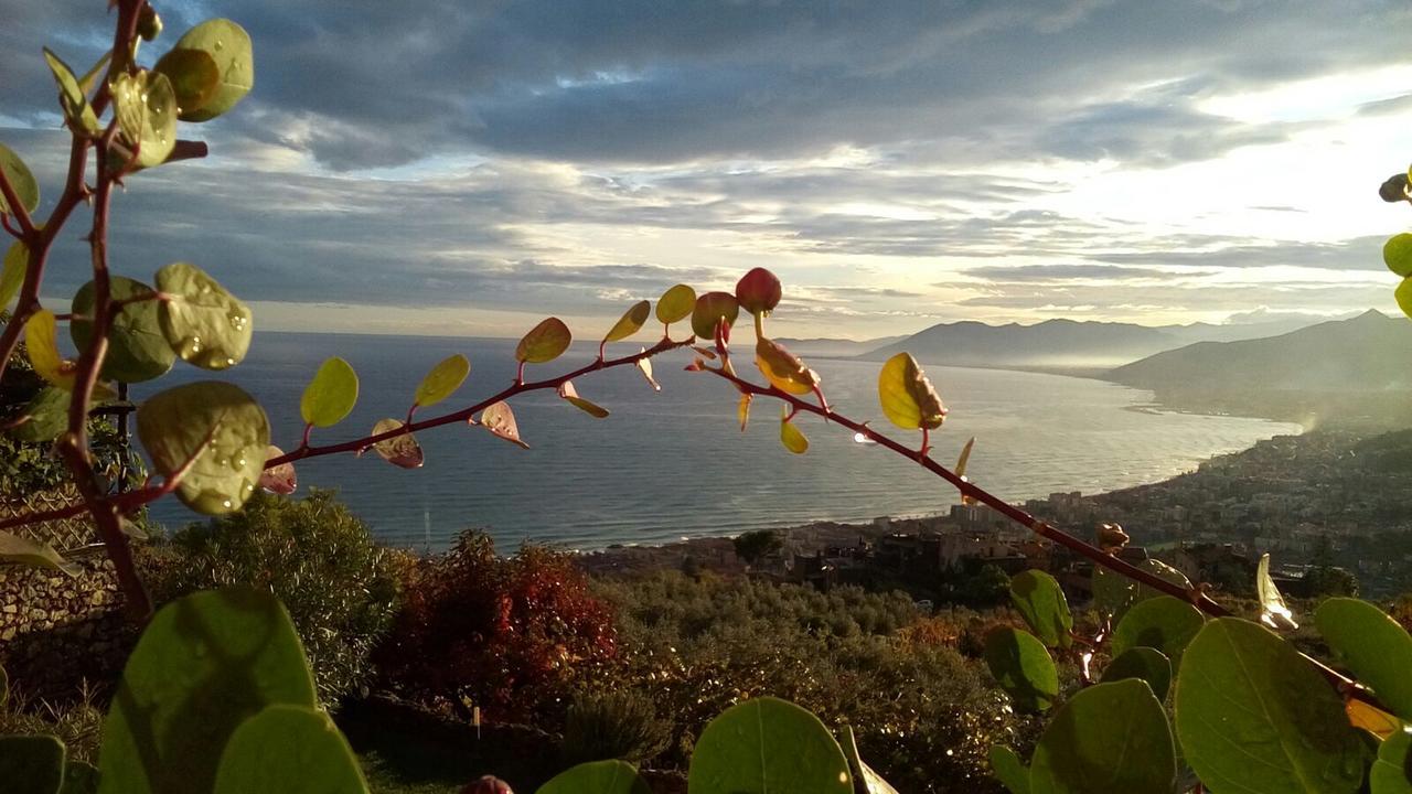 La Rosa Dei Venti Hotel Finale Ligure Buitenkant foto